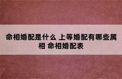 命相婚配是什么 上等婚配有哪些属相 命相婚配表